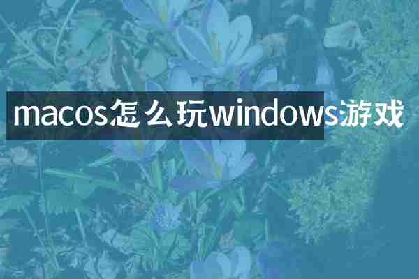 macos怎么玩windows游戏