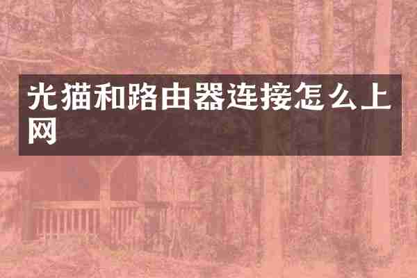 光猫和路由器连接怎么上网