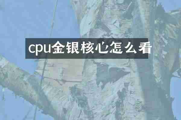 cpu金银核心怎么看