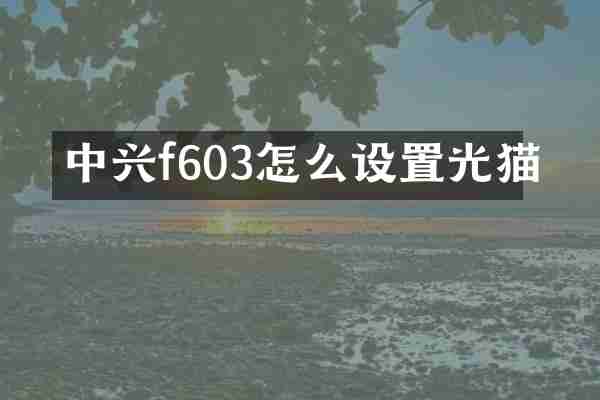中兴f603怎么设置光猫