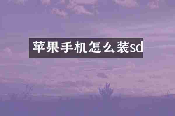 苹果手机怎么装sd