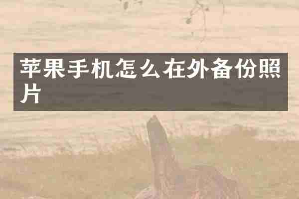 苹果手机怎么在外备份照片