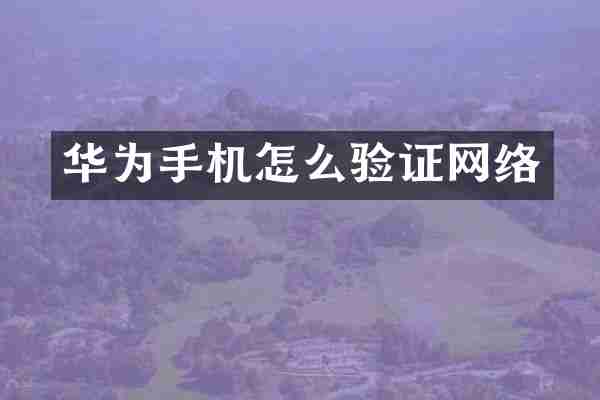 华为手机怎么验证网络