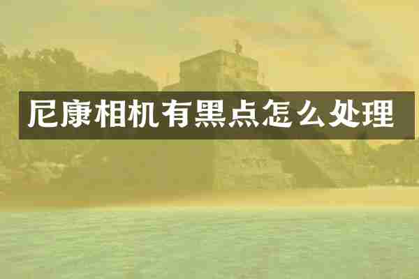 尼康相机有黑点怎么处理