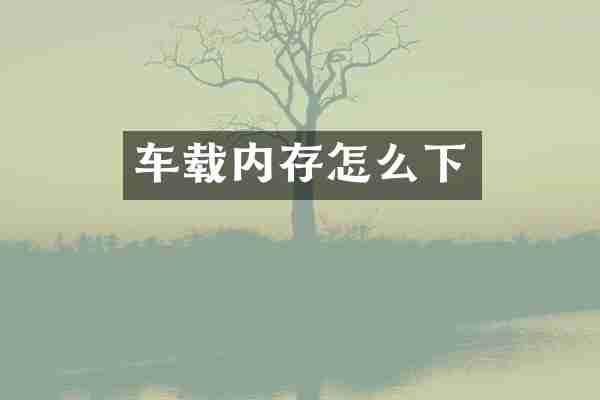 车载内存怎么下