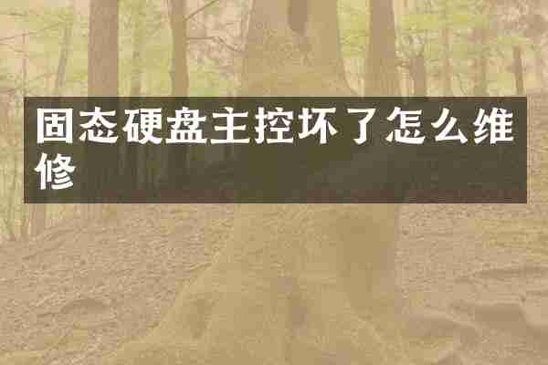 固态硬盘主控坏了怎么维修