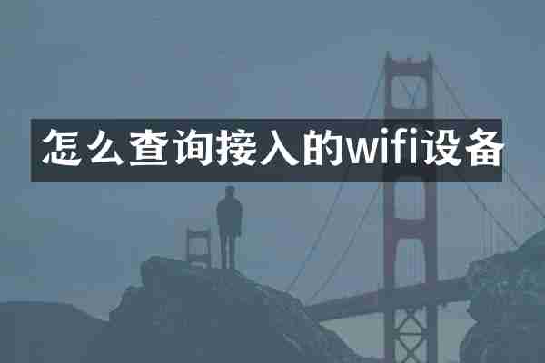 怎么查询接入的wifi设备