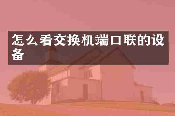 怎么看交换机端口联的设备