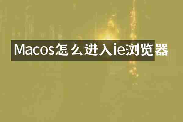 Macos怎么进入ie浏览器