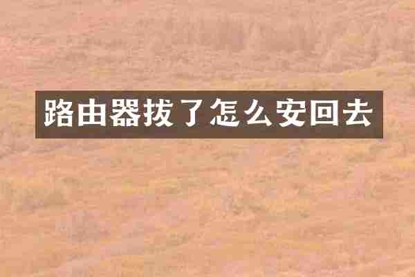 路由器拔了怎么安回去