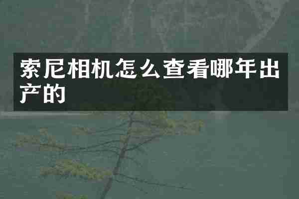 索尼相机怎么查看哪年出产的