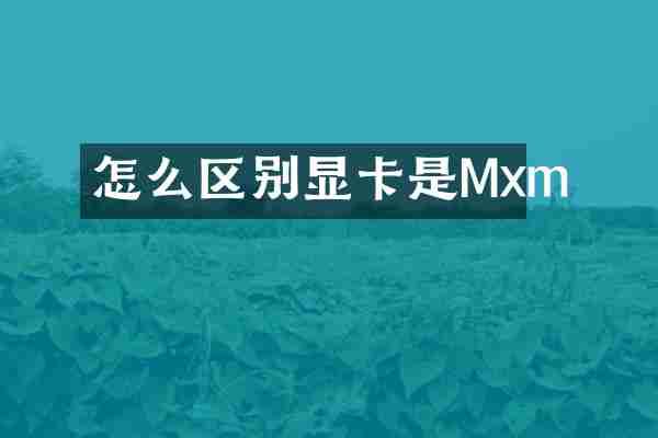 怎么区别显卡是Mxm