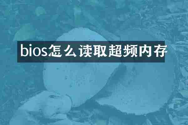 bios怎么读取超频内存