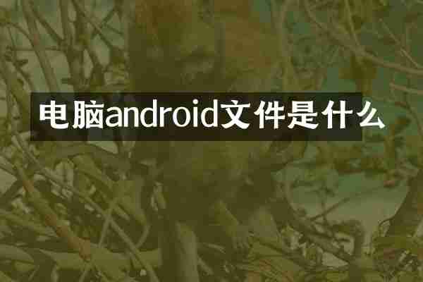 电脑android文件是什么