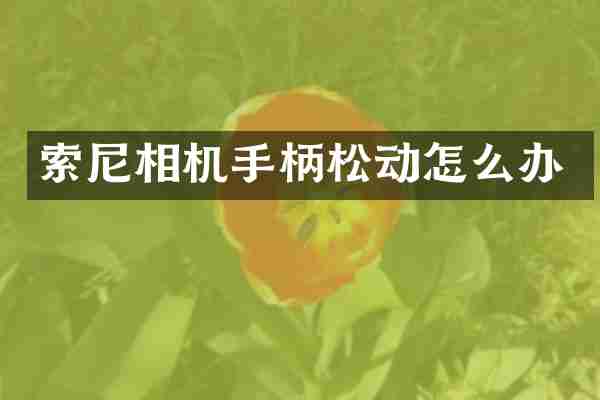 相机手柄松动怎么办