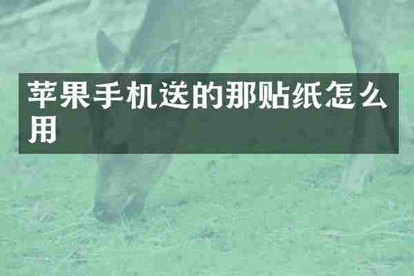 苹果手机送的那贴纸怎么用