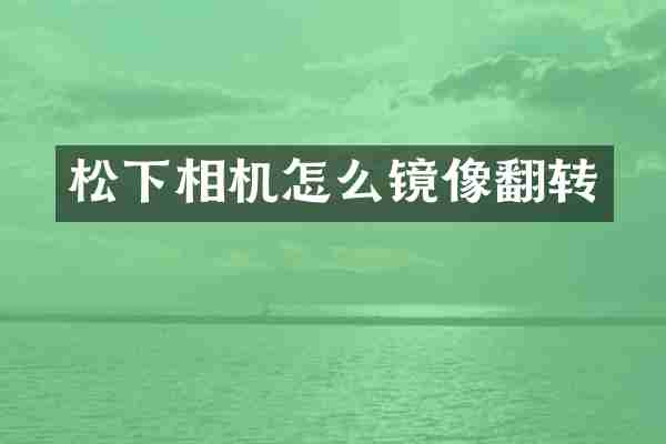 相机怎么镜像翻转