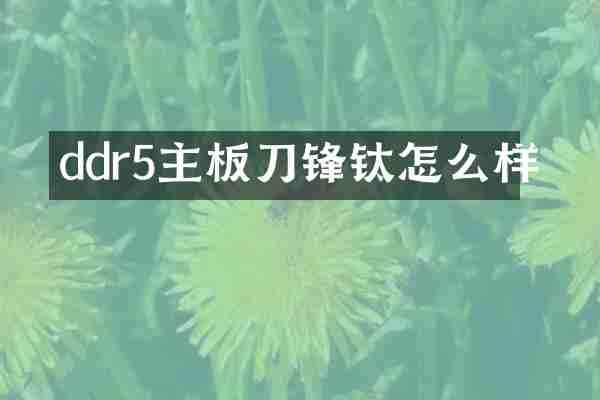 ddr5主板刀锋钛怎么样