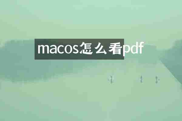 macos怎么看pdf