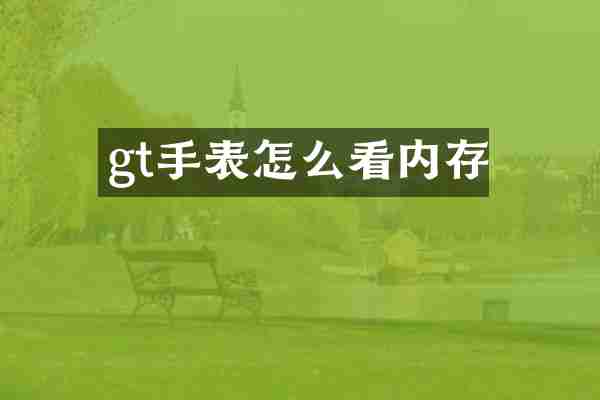 gt手表怎么看内存