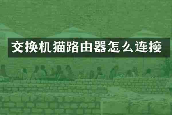 交换机猫路由器怎么连接