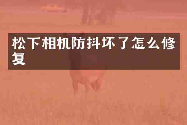 松下相机防抖坏了怎么修复