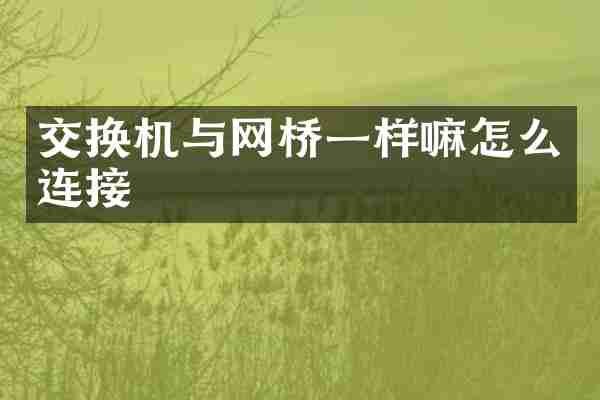 交换机与网桥一样嘛怎么连接