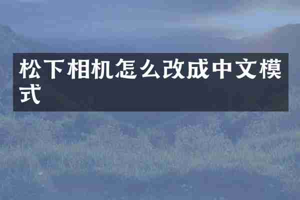 相机怎么改成中文模式