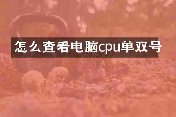 怎么查看电脑cpu单双号