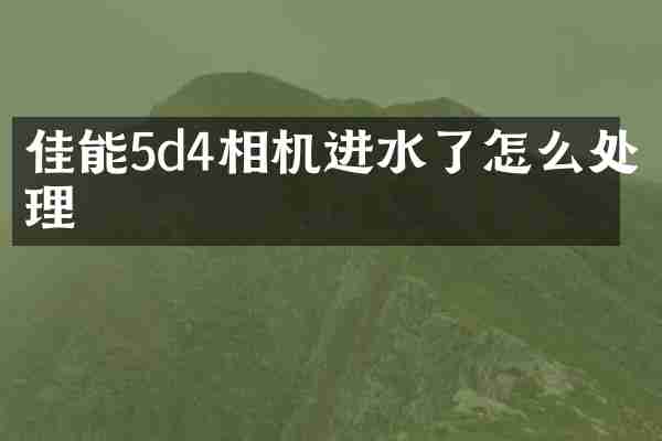 佳能5d4相机进水了怎么处理