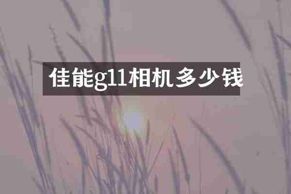 佳能g11相机多少钱