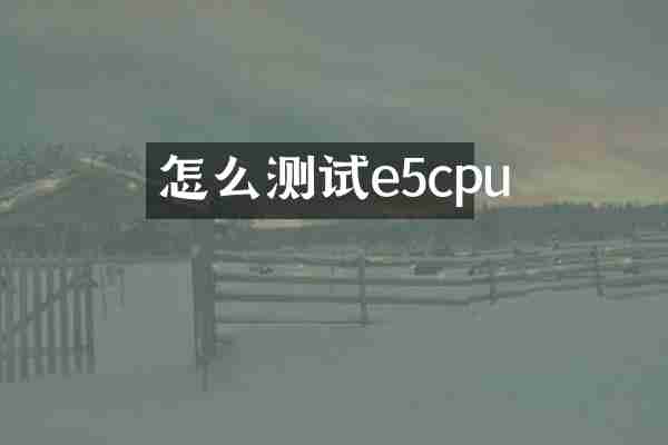 怎么测试e5cpu
