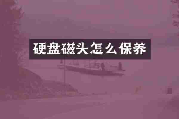 硬盘磁头怎么保养