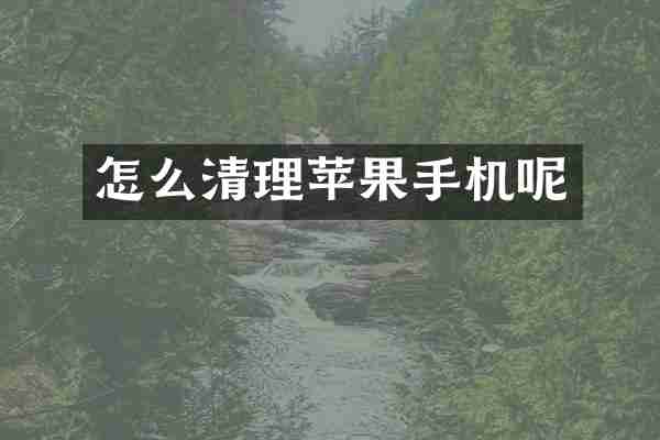 怎么清理苹果手机呢