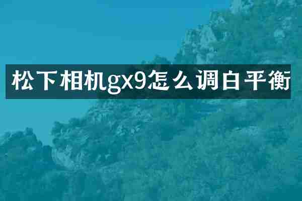相机gx9怎么调白平衡