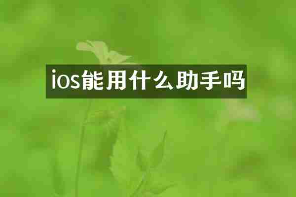 ios能用什么助手吗