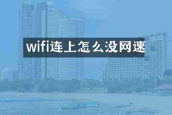 wifi连上怎么没网速