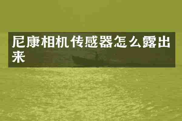 尼康相机传感器怎么露出来