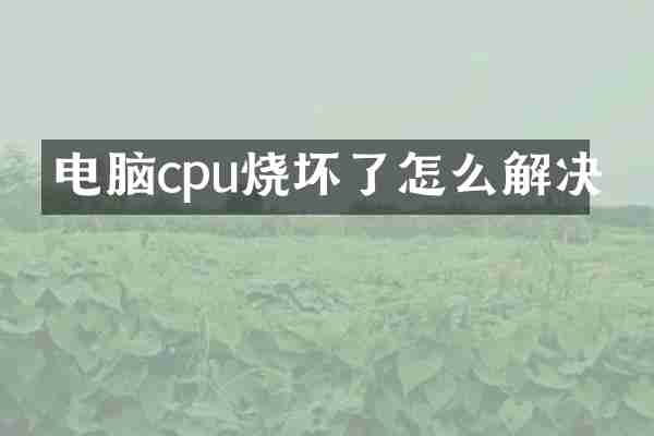电脑cpu烧坏了怎么解决