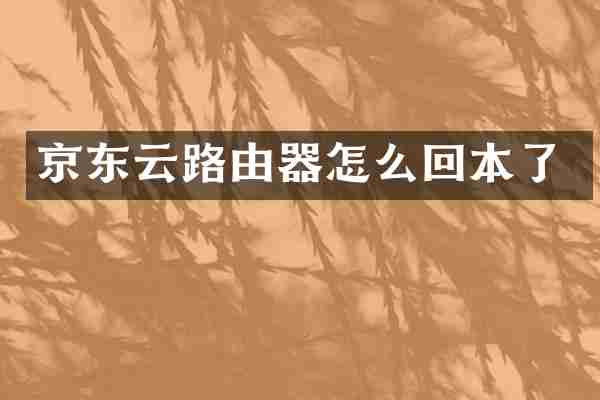 京东云路由器怎么回本了