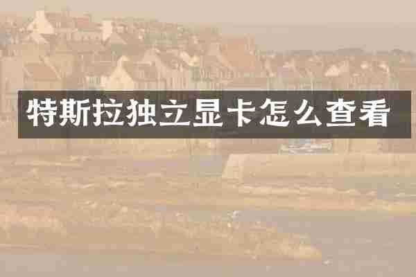 特斯拉独立显卡怎么查看