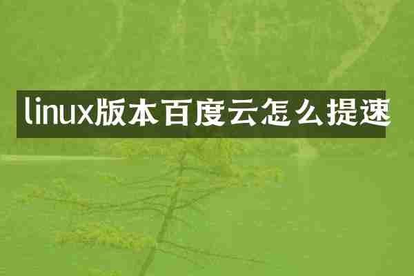 linux版本百度云怎么提速