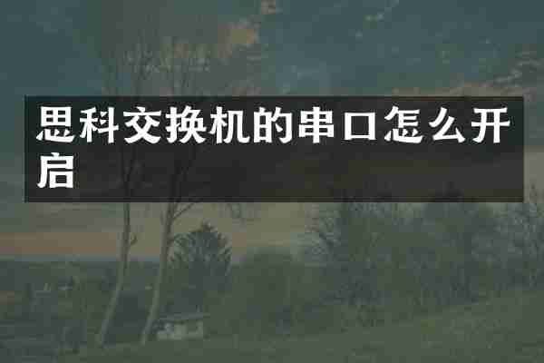 思科交换机的串口怎么开启