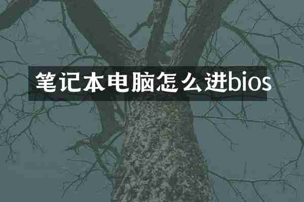 笔记本电脑怎么进bios