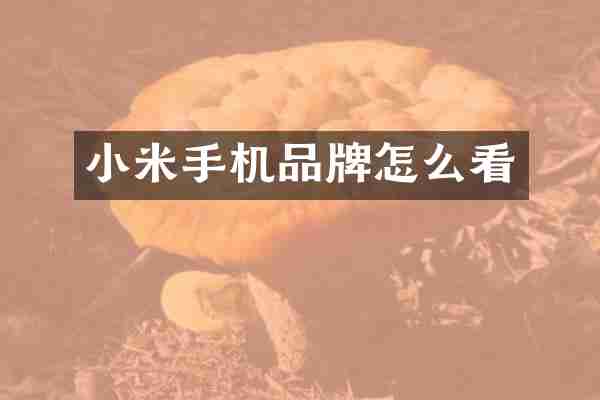 小米手机品牌怎么看