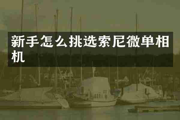 新手怎么挑选微单相机