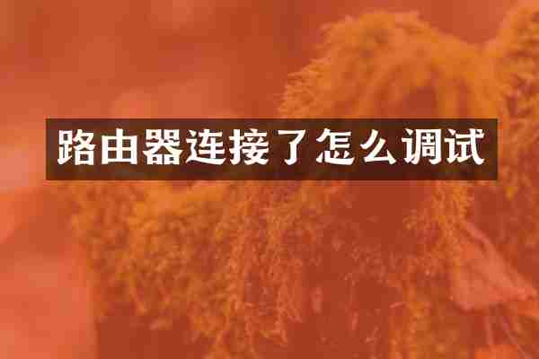 路由器连接了怎么调试