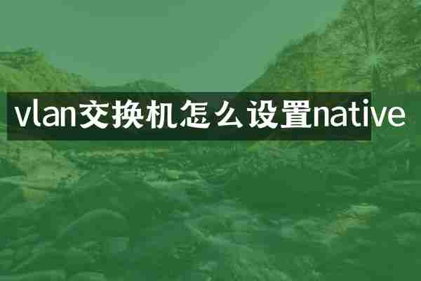 vlan交换机怎么设置native