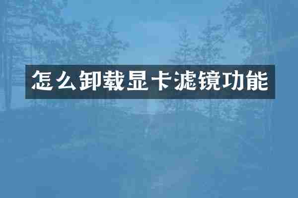 怎么卸载显卡滤镜功能
