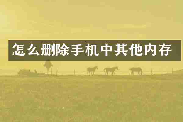 怎么删除手机中其他内存